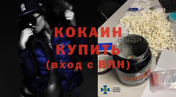 ГАЛЛЮЦИНОГЕННЫЕ ГРИБЫ Ельня
