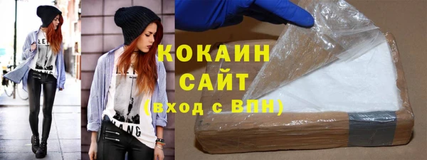 ГАЛЛЮЦИНОГЕННЫЕ ГРИБЫ Ельня