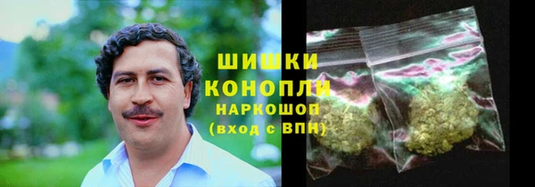 ГАЛЛЮЦИНОГЕННЫЕ ГРИБЫ Ельня