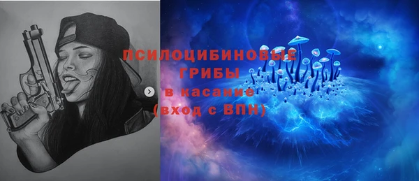 ГАЛЛЮЦИНОГЕННЫЕ ГРИБЫ Ельня