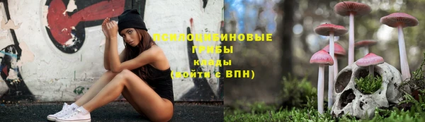 мдпв Дмитровск