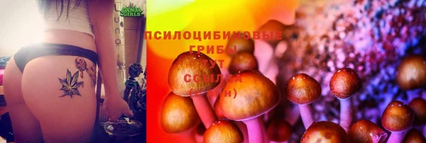 jwh Елабуга