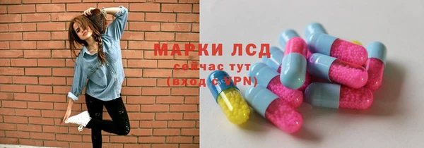 стаф Дмитриев