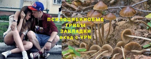 ГАЛЛЮЦИНОГЕННЫЕ ГРИБЫ Ельня