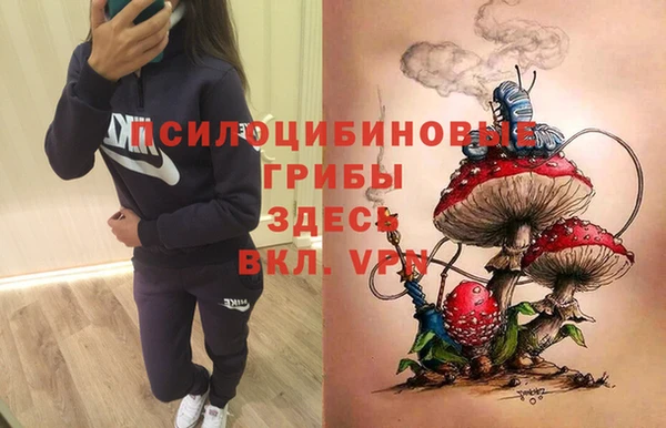 каннабис Дмитров