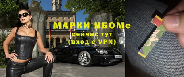 ГАЛЛЮЦИНОГЕННЫЕ ГРИБЫ Ельня