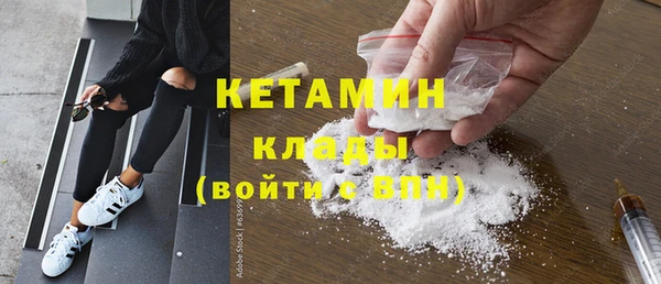 ГАЛЛЮЦИНОГЕННЫЕ ГРИБЫ Ельня